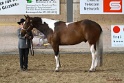 22-APHA HOTC_095